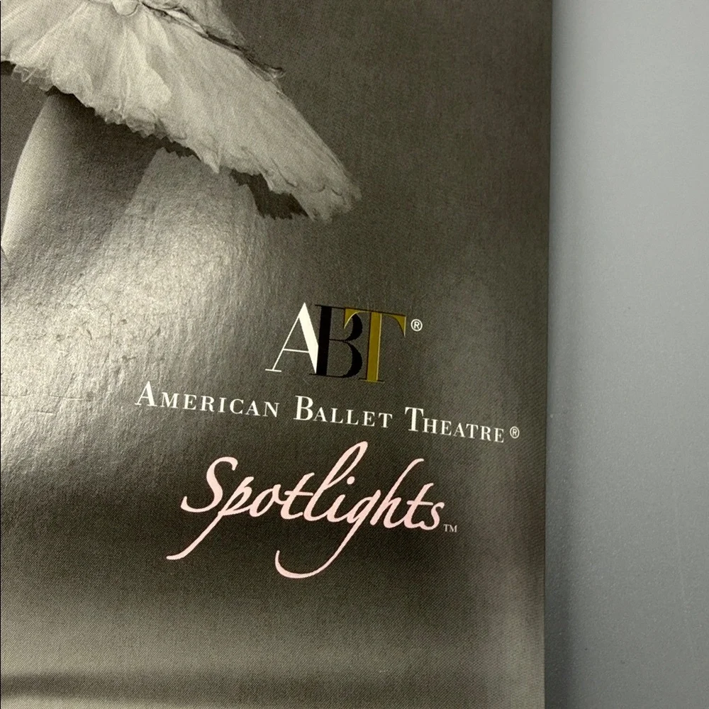 American Ballet Theatre Spotlights Ballet Tights Size Large NEW‎